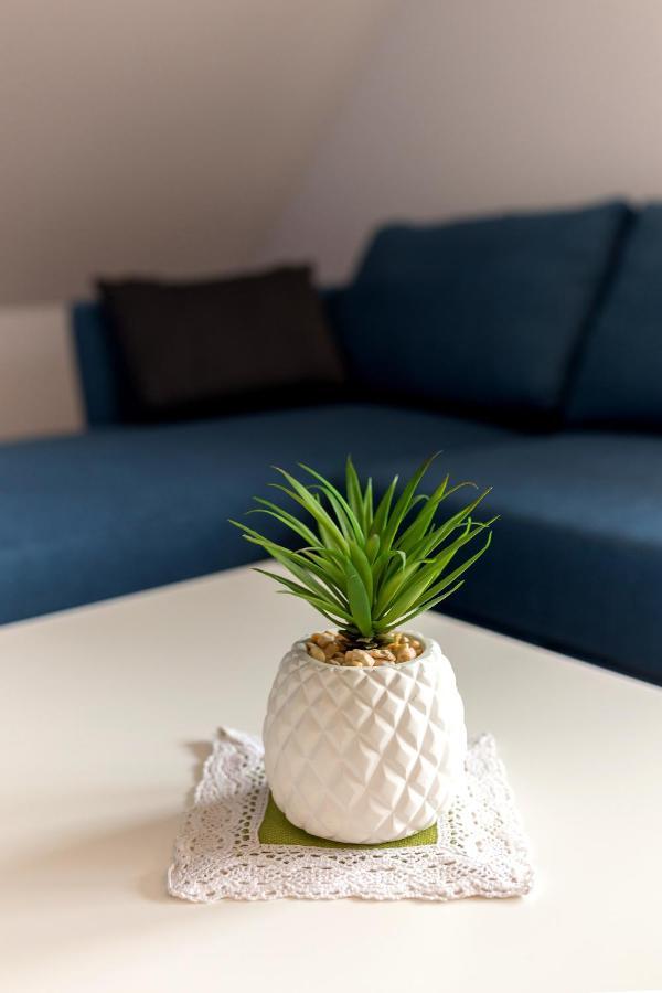 Apartman Apartmaji Rupnik