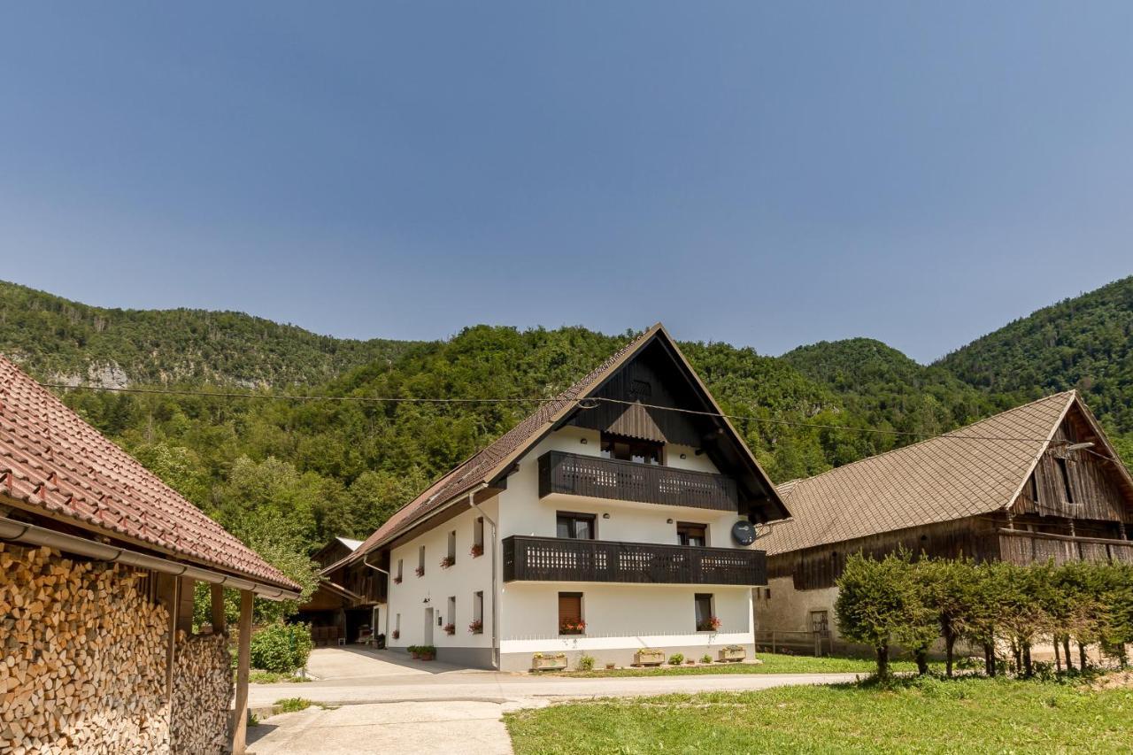Apartment Apartmaji Rupnik *