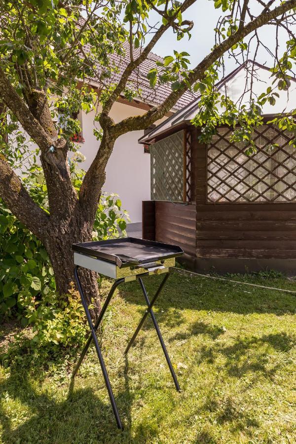 Apartmaji Rupnik